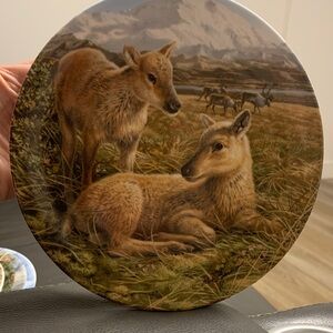 Mike Jackson Reindeer Young Plate